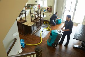 Water Damage Cleanup in Placerville CA